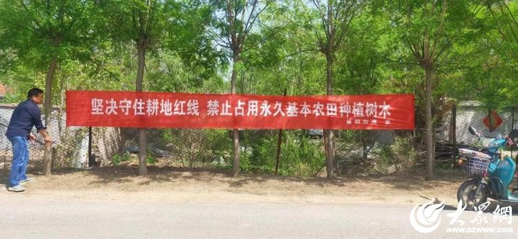 濰坊青州 益都街道“三融合”破解低效苗木難題，筑牢耕地保護(hù)防線